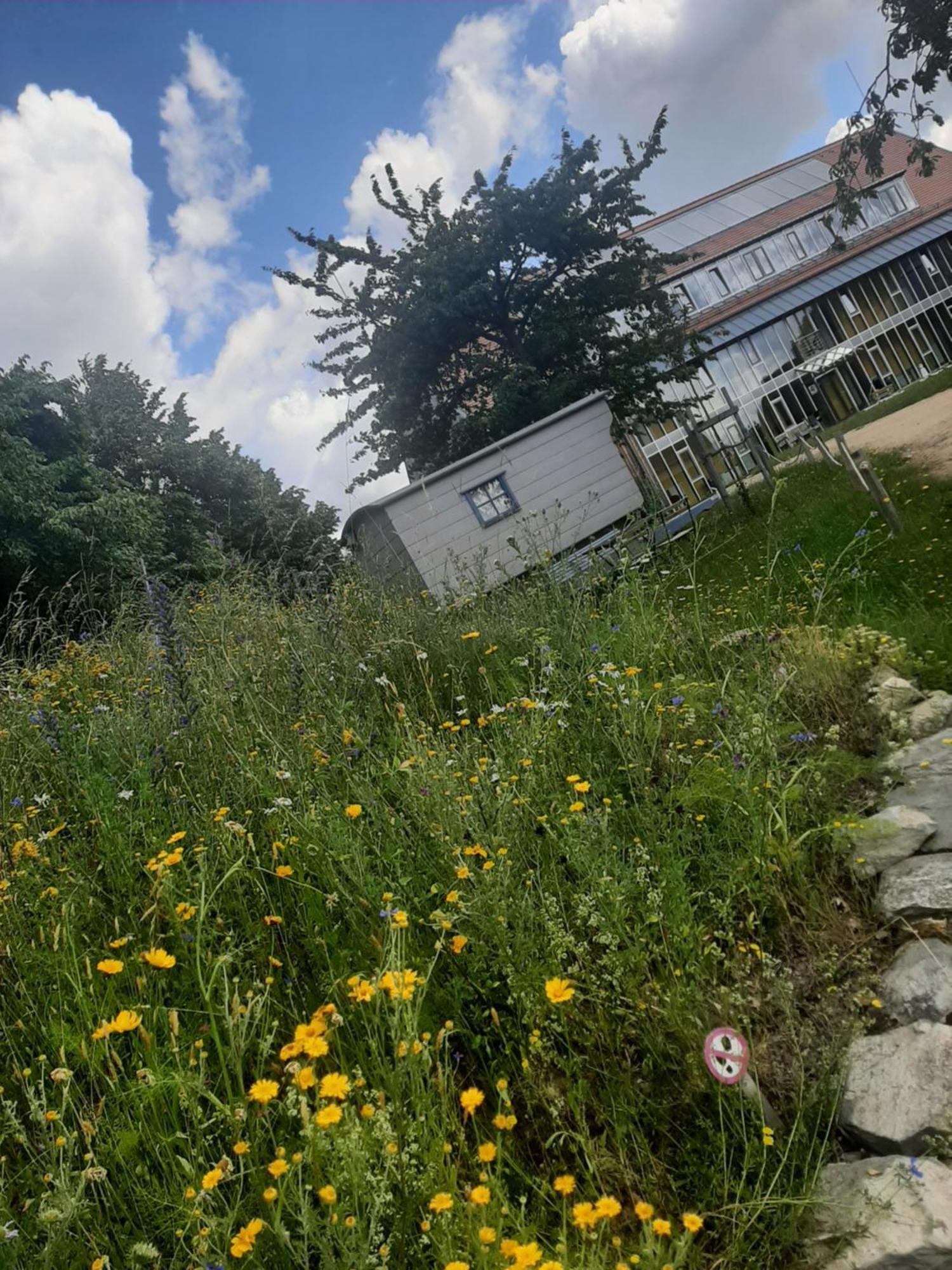 Saechsische Bildungs- Und Begegnungsstaette Windmuehle Seifhennersdorf Hotel Eksteriør billede